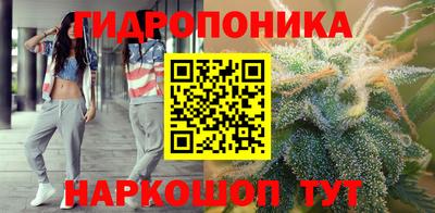 СК Абинск