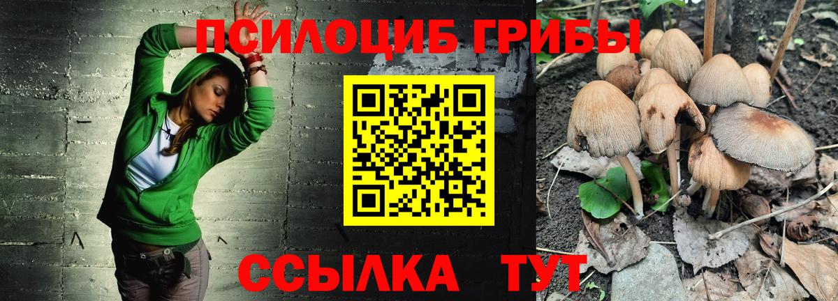 Галлюциногенные грибы MAGIC MUSHROOMS Апрелевка
