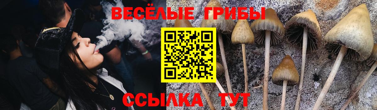 Псилоцибиновые грибы ЛСД  Псилоцибиновые грибы Magic Shrooms  Апрелевка  Вход с VPN 